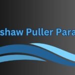 A Rickshaw Puller Paragraph in 100 to 300 Words